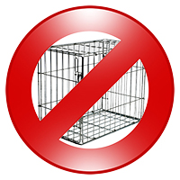 Cage Free Dog Boarding